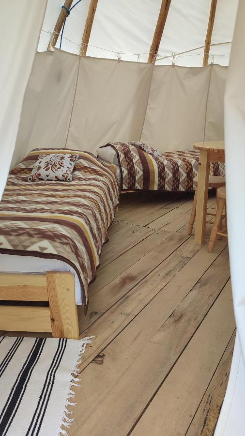 Glamping Wild Nature Baltow Buitenkant foto